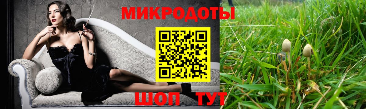 Галлюциногенные грибы мухоморы  Вход с VPN  Костомукша 